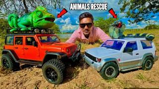 RC Jungle Animals Rescue Mission With Thar Roxx - Chatpat toy TV