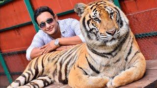 Thailand Tour # Tiger Kingdom with Saud Ahmed # Tiger Kingdom # Phuket # Thailand