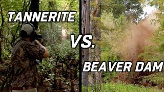 Tannerite vs. Beaver Dam