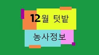 {텃밭농부 #095} 12월 텃밭농사 정보.텃밭농사.월별농사정보.텃밭정보