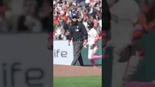 Crowd goes nuts after Casey Schmidt's walkoff hit #mlb #baseball #walkoff #giants