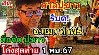 รีบดูด่วน! #อาจารย์แมว ทำพิธีสื่อจิต#ปู่ขาว#โค้งสุดท้าย(1พย.67) #เลขเด็ด!!