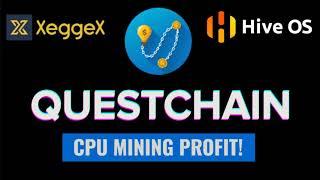 NEW CPU COIN! QuestChain (QCH) - Mining Tutorial HIVEOS + Xeggex!