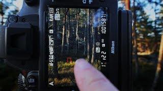 Previsualization as a compositional tool for woodland photography