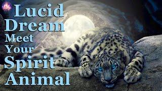 Lucid Dream Guided Sleep Meditation to Meet Your Spirit Animal In A Snow Cave (432Hz Binaural Beats)