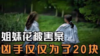 贛州市寧都“8.5”特大殺人案偵破紀實 #王德发故事会 #王德發故事會 #說案 #案件解說