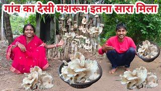 गांव का देसी मशरूम इतना सारा मिला#villagelifestyle #vlog