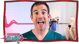 Don't Panic About Puberty | Operation Ouch | Back to School | Nugget