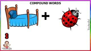 COMPOUND WORDS 4 @teacherzel