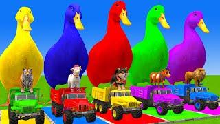 5 Giant Duck Cartoon,Cow,Mammoth,Tiger,Lion,Dinosaur, Paint Wild Animals Crossing Fountain Animation