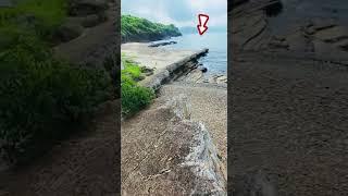 What Lung Luk Shui as DRAGON Falling into Water #shorts #youtubeshorts #viral #nature #asmr #youtube