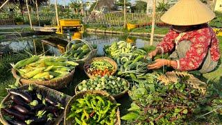 Harvesting luffa, okra, spinach, eggplant, corn, tomatoes, broccoli, chili, snake gourd #gardening