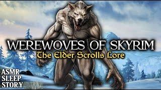 Werewolves Of Skyrim: A Skyrim Bedtime Story | Cozy Elder Scrolls ASMR Lore & Ambience For Sleep