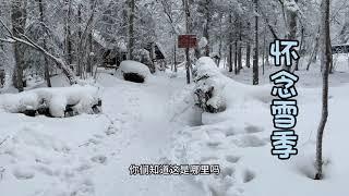 广东人有多喜欢雪，下雪地区的人是无法理解的，走在厚厚的积雪路上，好开心