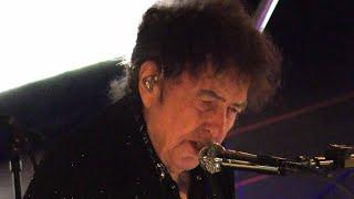 Bob Dylan Desolation Row Video London RAH 13th November 2024