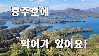 충주호 악어섬 / 악어봉 / 월악산국립공원