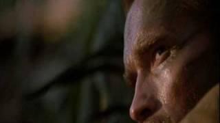 Knock, Knock - Schwarzenegger - Predator