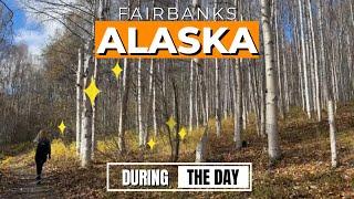 Fairbanks ALASKA - places to eat and things to see (when you're not chasing the Northern Lights)