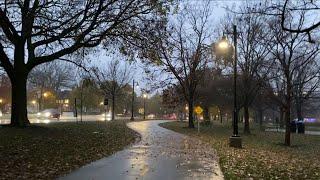 Rain Walk: Evanston Illinois/Chicago Suburb, Autumn 2024