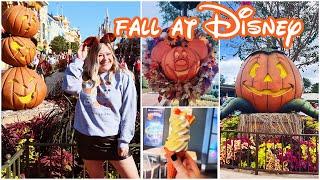 FALL TIME AT DISNEY! - MAGIC KINGDOM VLOG