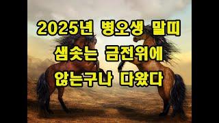 2025년 병오생 66년생 말띠 신년운세  샘솟는 금전위에 내가 않아있다