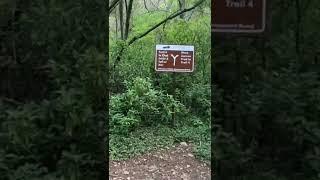 Alluring View of Margalla Hills Trail 4 Islamabad || Hiking Trail 4 Islamabad || Margalla Hills