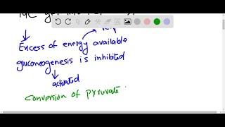 In the first bypass step of gluconeogenesis, the conversion of pyruvate to phosphoenolpyruvate (PEP…