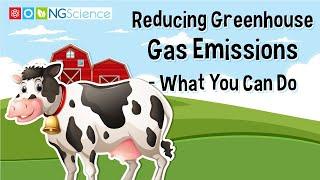 Reducing Greenhouse Gas Emissions – What You Can Do