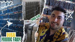 Mining Farm in Dubai | BGC Miners | Crypto Mining Farms | Dubai farm