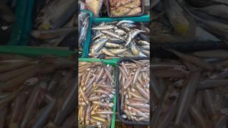 Saidapet fish market #Sakthivoiceovervideo