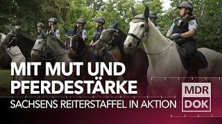 Sattelfest - die Reiterstaffel der Polizei Sachsen im Einsatz | Entdecke den Osten | MDR DOK