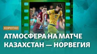 «Увидеть Холанда» и поболеть за своих. Атмосфера на матче Казахстан — Норвегия и до него