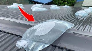 Why Didn't I Know This Sooner! Top Plumber's Super Effective 3-in-1 Stormproofing Ideas