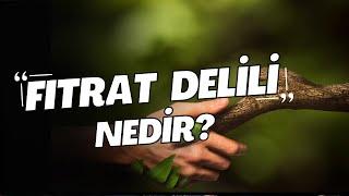 İslam ve Fıtrat / Fıtrat Delilleri / Kuran'da Fıtrata Dikkat Çeken Ayetler