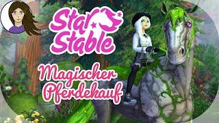 Magischer PFERDEKAUF ️ Ich sehe sie zum ersten Mal  SSO // Star Stable Online