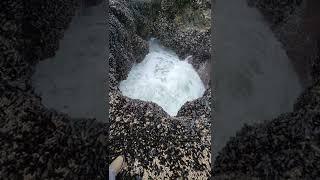 Thors Well Cape Perpetua