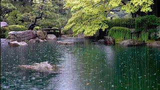 Raindrops Falling on a Garden Pond, Relaxing Rain Sounds that Help you Relax, Stress Relief