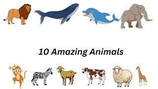 "10 Amazing Animals and Their Fascinating Facts | The World of Knowledge"