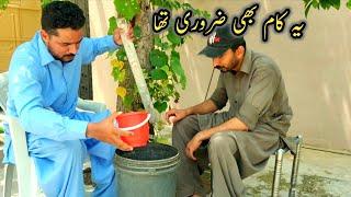 Ye Kaam Bhi Zarori Tha | Desi Formula | Milk Mixture Making | Mughal Zast | Ali & Nomi Funny Video