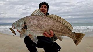 Beach Fishing Mulloway WHY didn’t I try this Rig sooner ?!