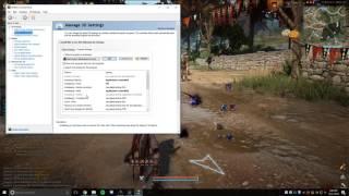 How to massively increase your FPS in BDO