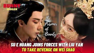 Su E Huang Married Liu Yan, Faces Off Against Wei Shao | The Prisoner of Beauty | 折腰