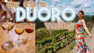 Duoro Valley Wine Tasting Adventure from Porto: A Porto Day Trip You Can't Miss!