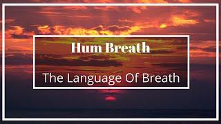 The Language of Breath | Guided Breathwork | Hum Breath