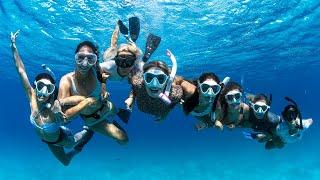 ULTIMATE FRIENDS BUCKET LIST TRIP - Dolphins, Freediving, and Dancing!