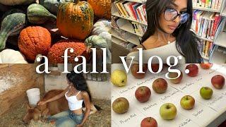 FALL VLOG  ft. MAJOR life update, fall routines & habits, birthday parties, photoshoots, and more