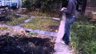 How to clear an allotment (professionally) - Part 1