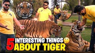 5 interesting Facts About Tiger | Tiger ny Hand Pr Bite Kr di  | Nouman Hassan