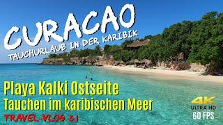 Tauchen auf CURACAO - Playa Kalki Ostseite "Tauchen in der Karibik" 4K/60 FPS  Westpunt