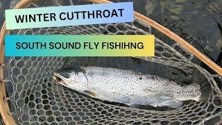 Early Winter Sea Run Cutthroat. Fly Fishing The South Puget Sound